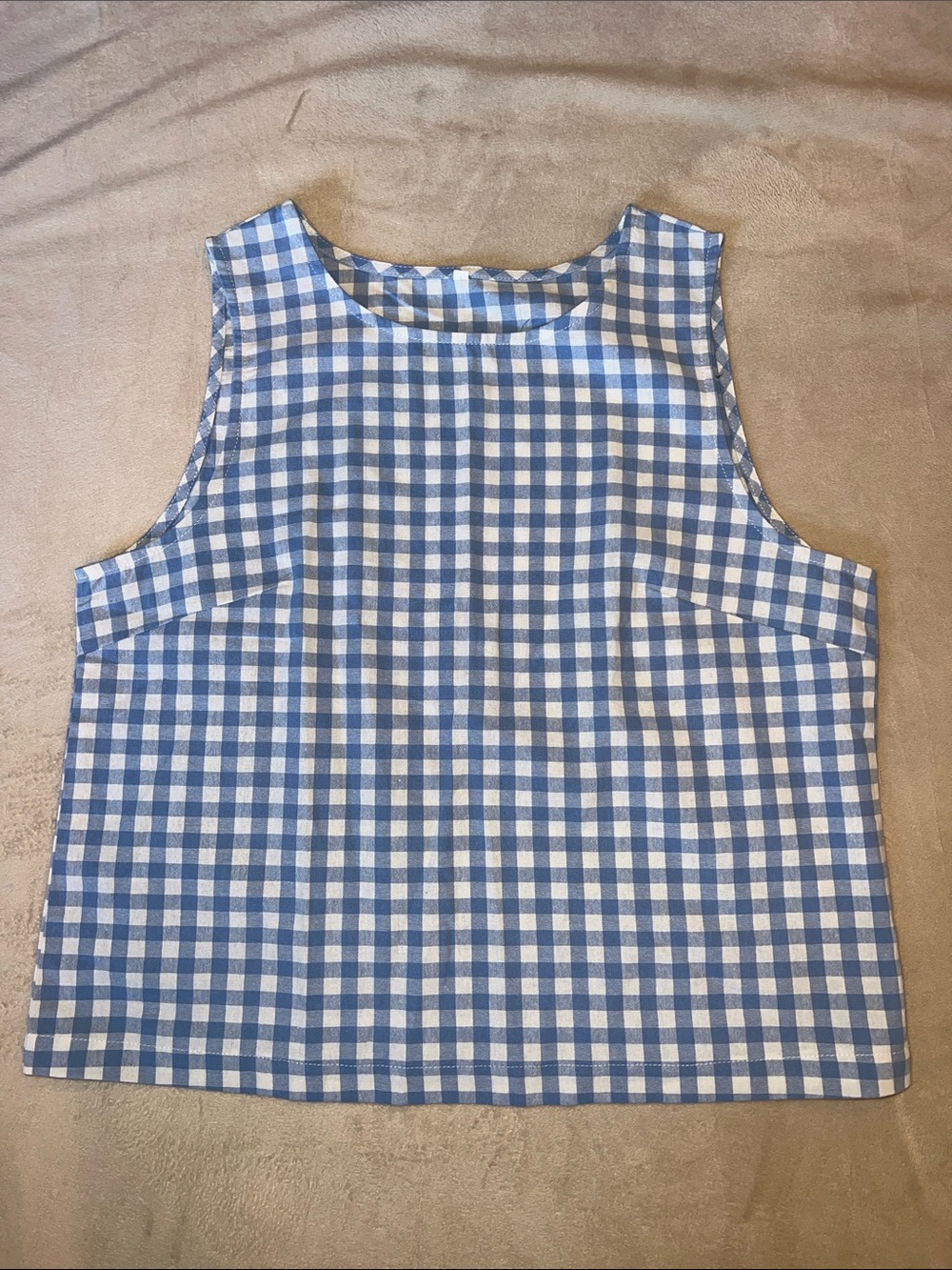 Blue Gingham Sleeveless Top Cropped